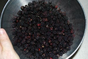 blackberries0001